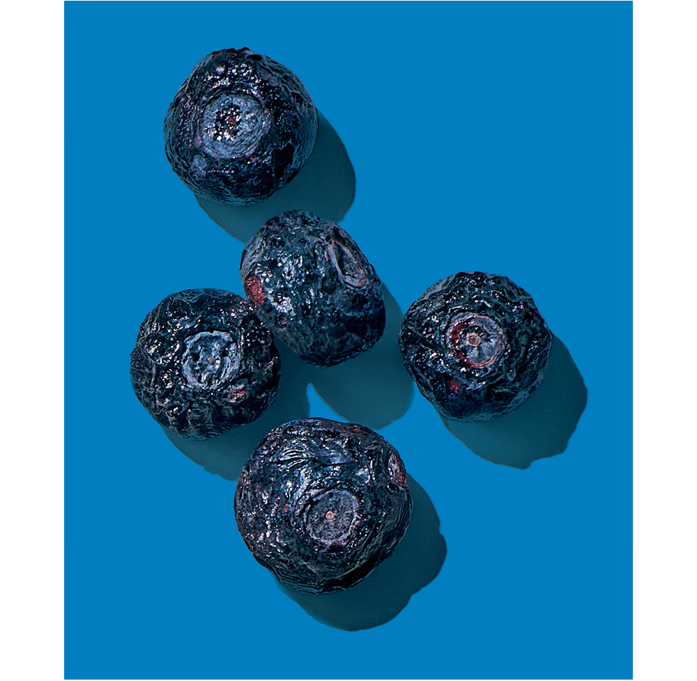 Crunchies_Packaging_blueberry_back_Flattened